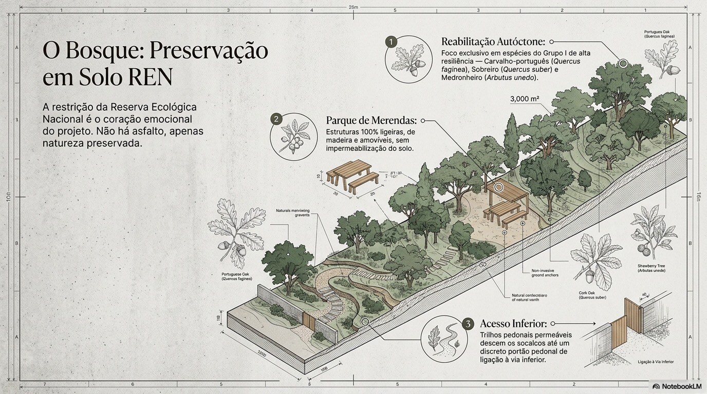 Bosque autóctone com parque de merendas em solo REN